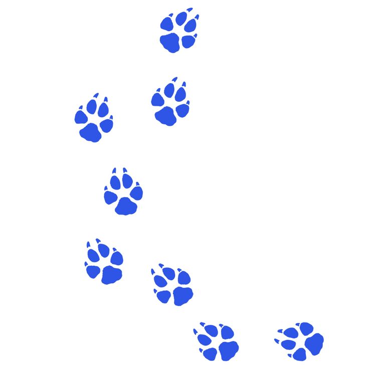 Free Paw Print Template, Download Free Clip Art, Free Clip