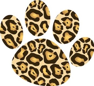 25 cheetah print.