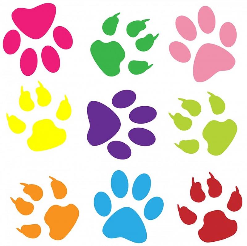 Free Picture Of Paw Prints, Download Free Clip Art, Free