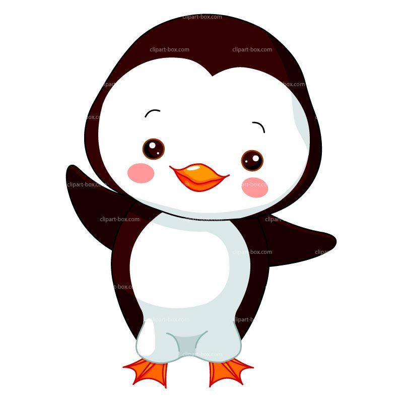 Clipart baby penguin.