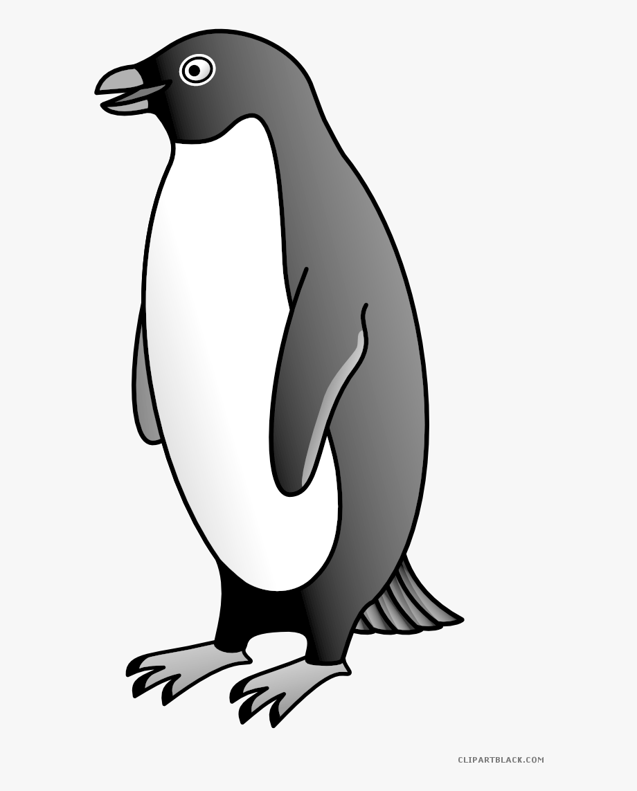 Penguin quality animal.