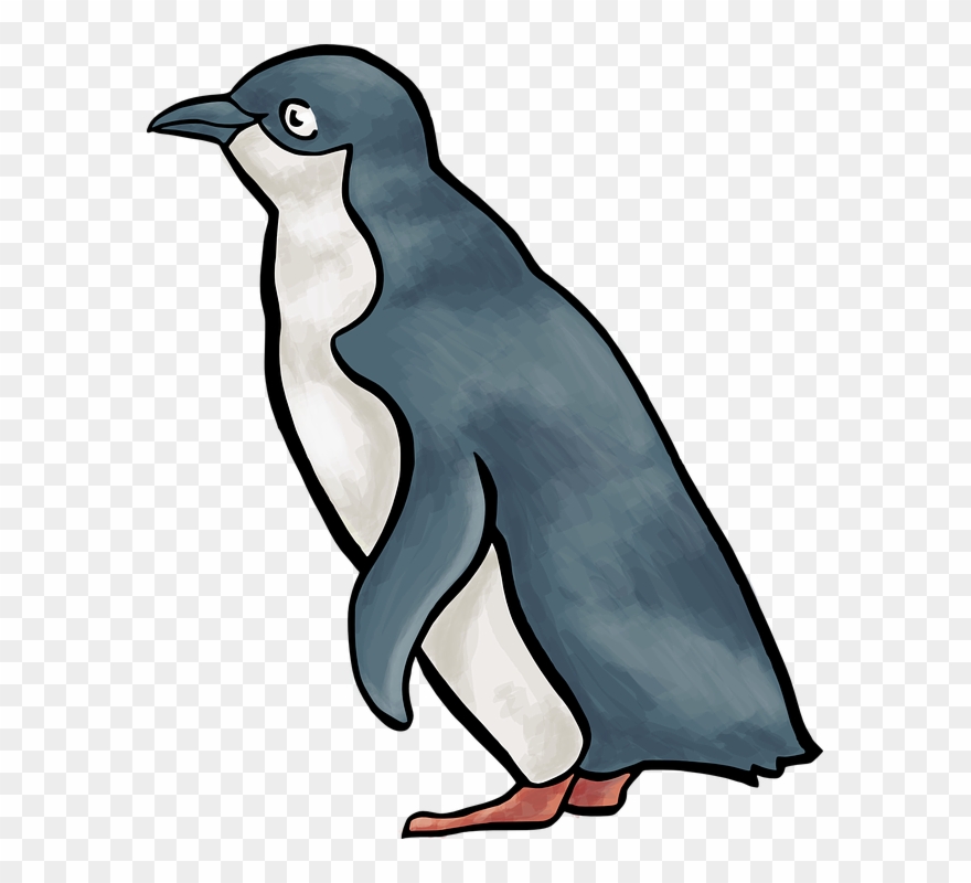 Penguin clipart little.