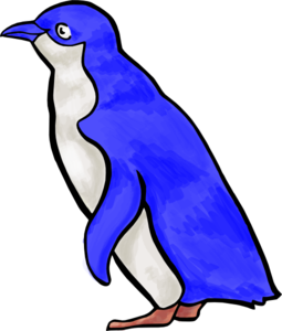 Blue penguin png.