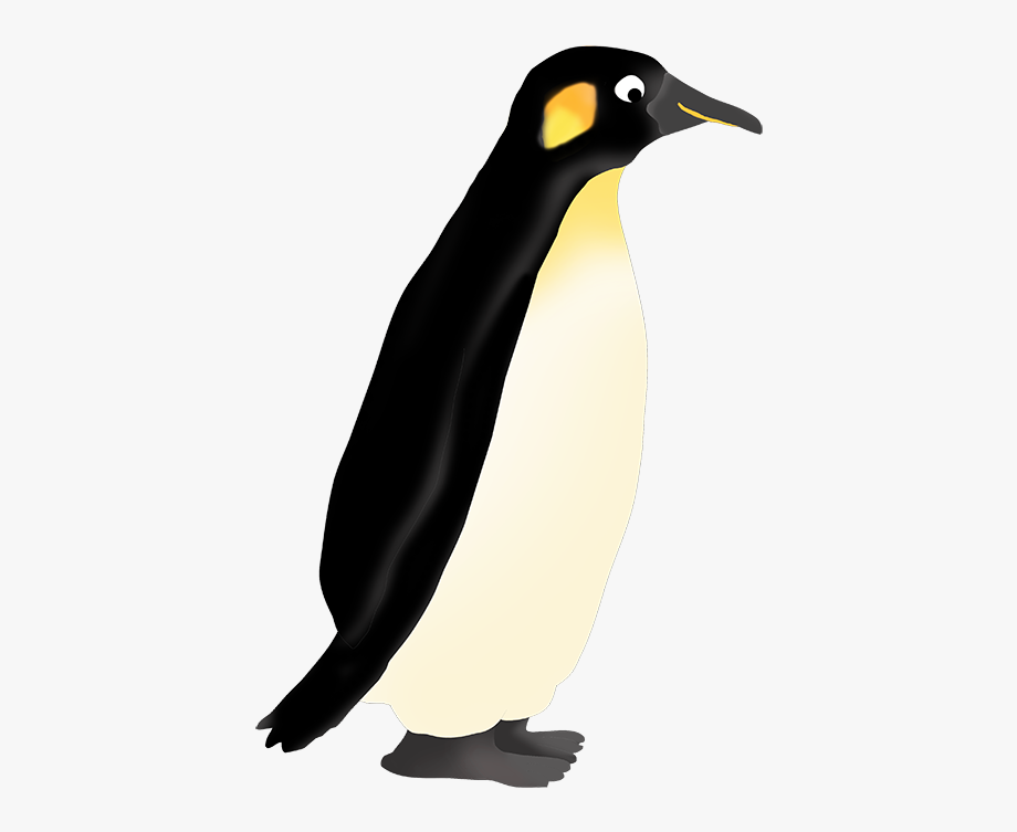 Funny Penguin Clip Clip Art