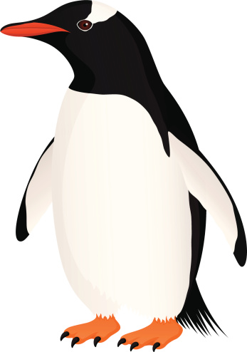 Free gentoo penguin.