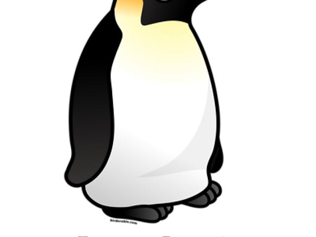 Free emperor penguin.