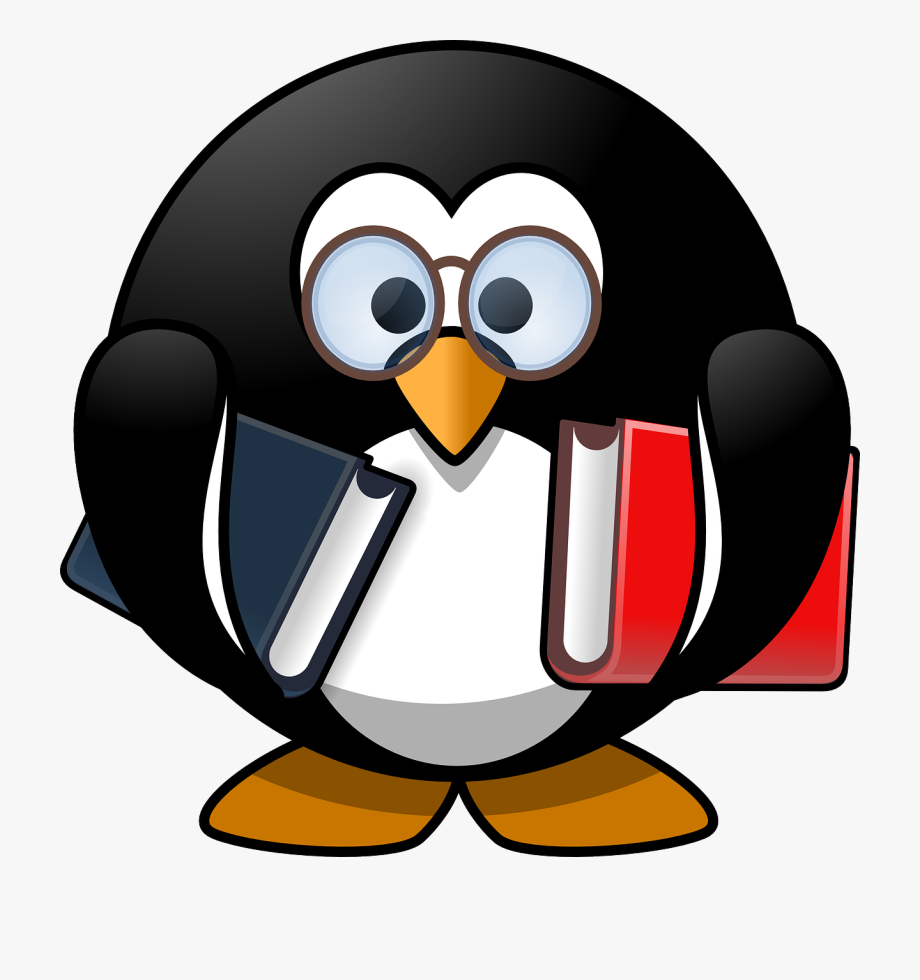 Penguin Clipart For School Penguin