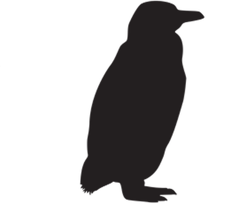 Animal silhouettes penguin.