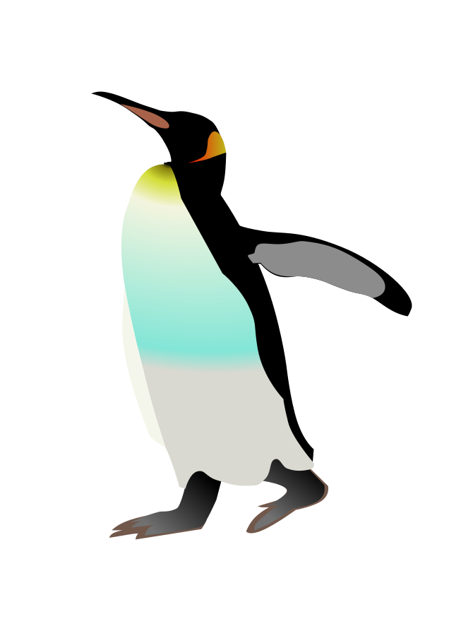 Emperor penguin bird.