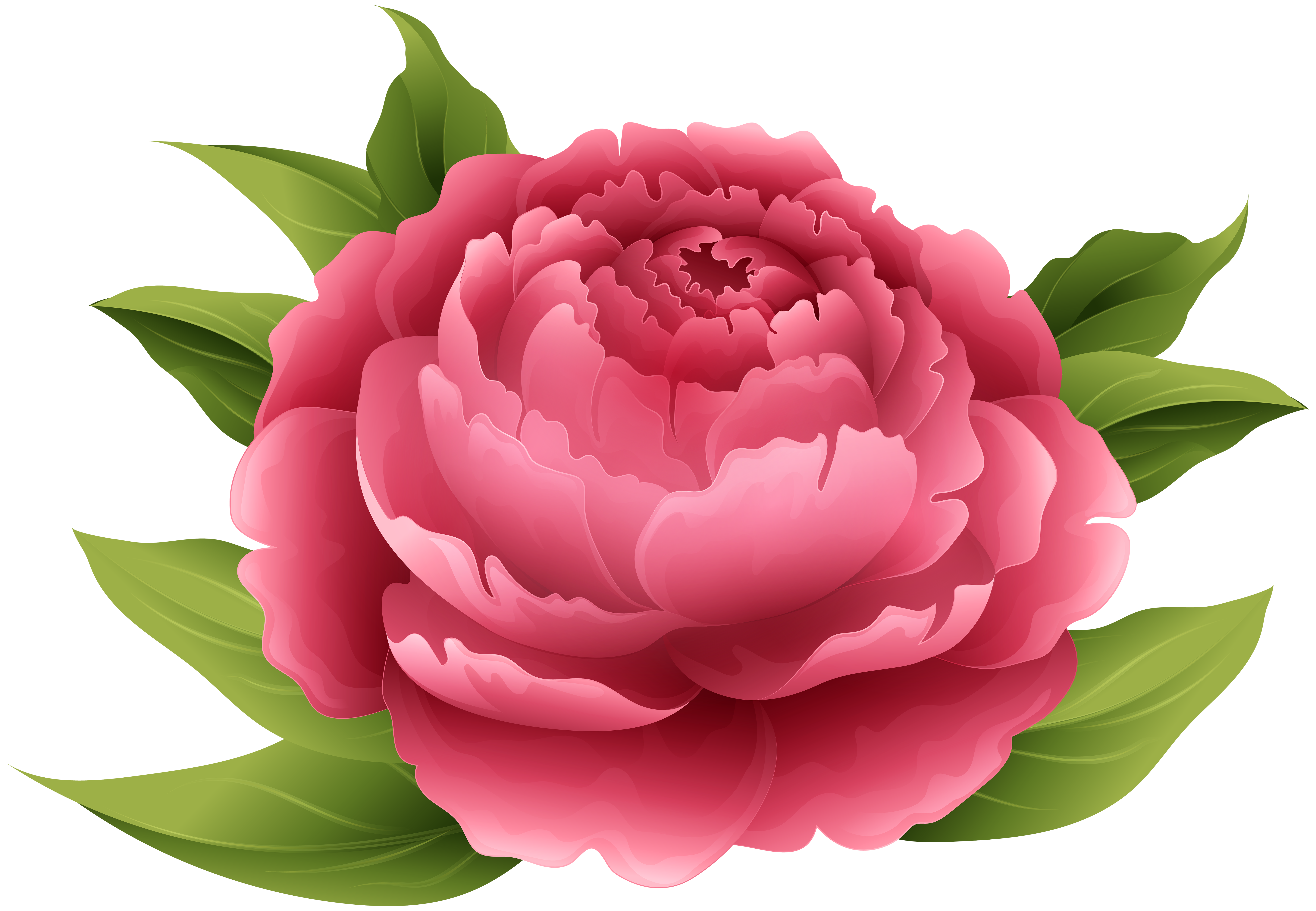 Red peony png.