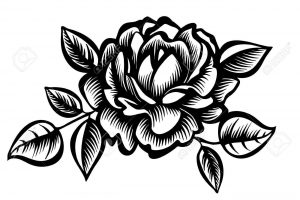 Peony clipart black and white