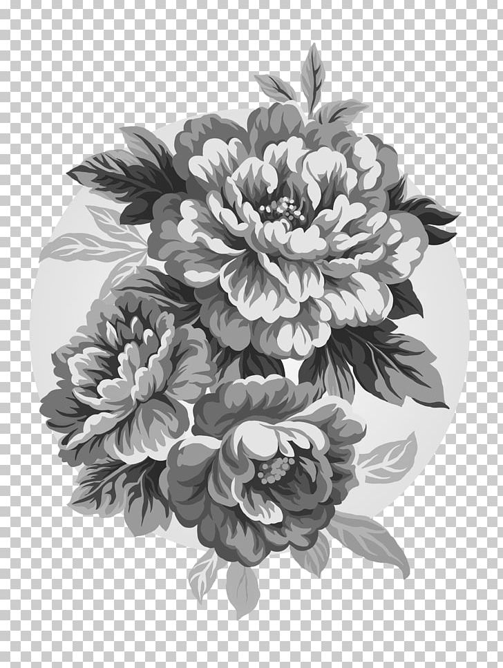 Peony Drawing Paeonia Lactiflora PNG, Clipart, Black And
