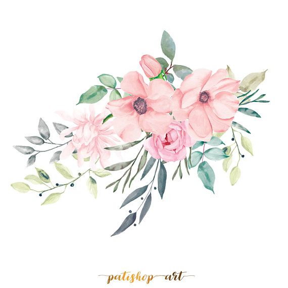 Blush Pink Watercolor Flowers Clipart Separate Elements Rose