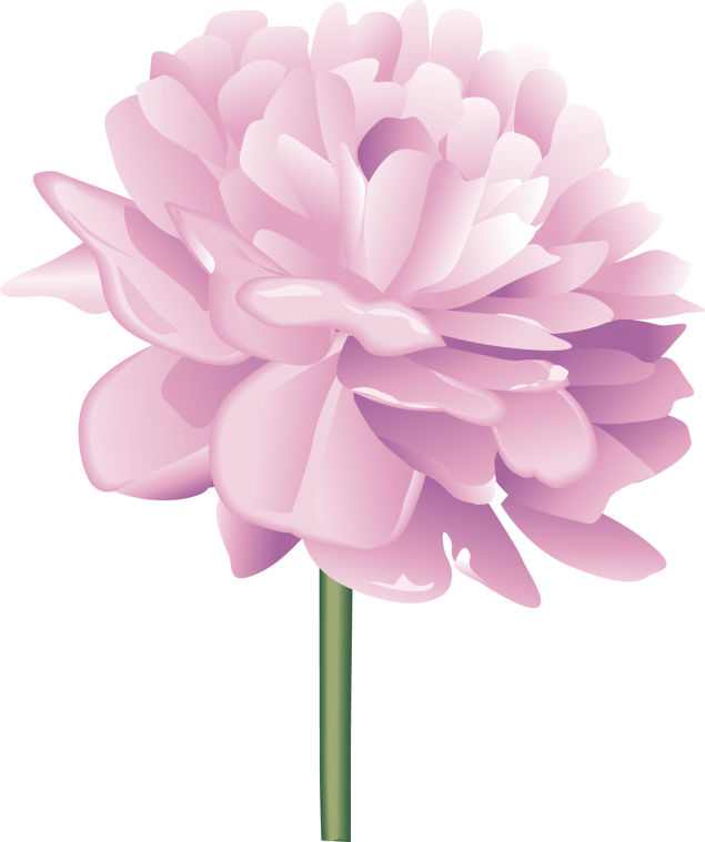 Free Peony Cliparts, Download Free Clip Art, Free Clip Art