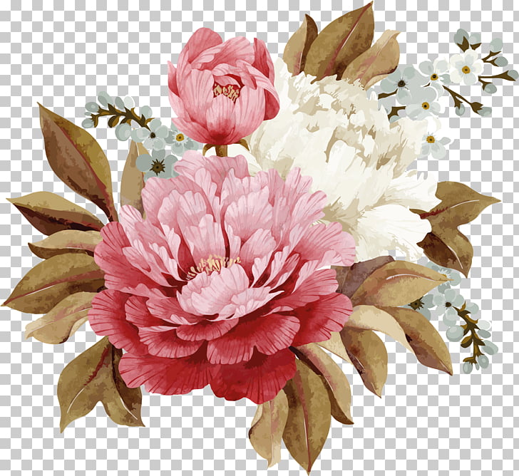Moutan peony , peony watercolor, pink and white petaled