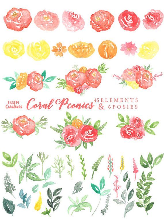 Coral Watercolor Peony Clipart, Mothers Day Gift Card