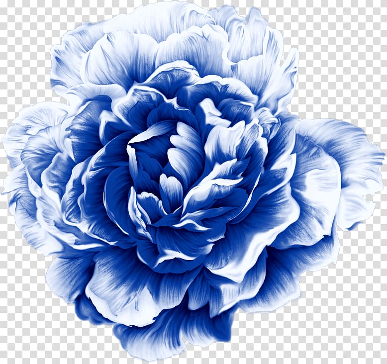 Blue peony flower illustration, Watercolor painting Moutan