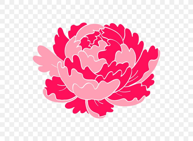 Illustration Peony Clip Art Rose Family Floral Design, PNG