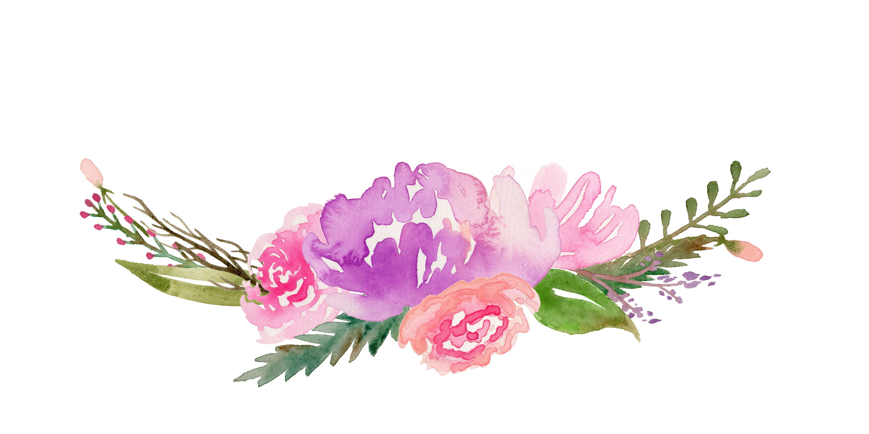Peony clipart watercolor, Peony watercolor Transparent FREE