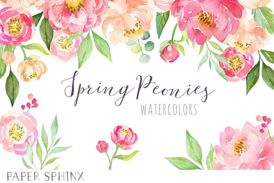 Watercolor Flower Peonies Clipart