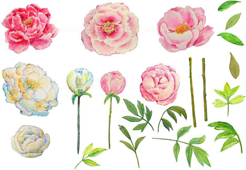 Wedding clipart, watercolor peony pink and yellow printable instant download