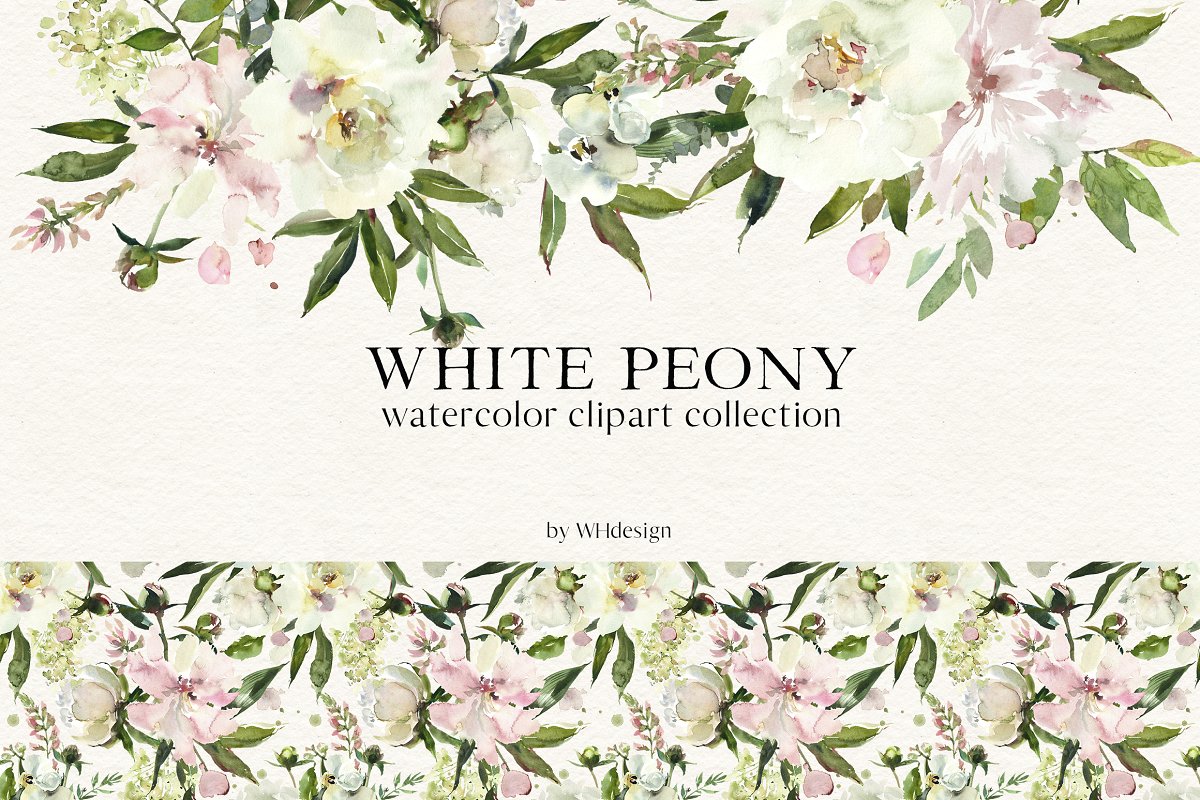 White Peony Watercolor Clipart