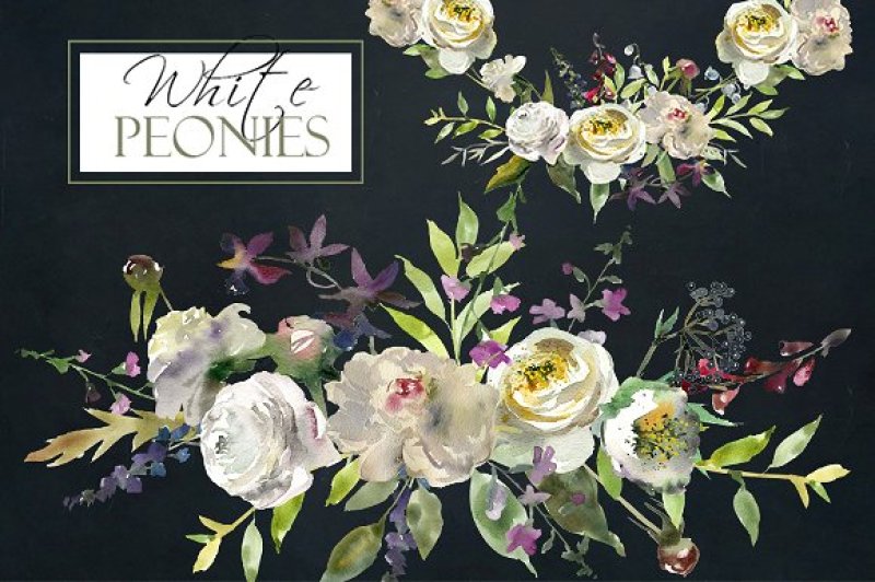 Watercolor White Peony Flowers Bouquets Wreaths Clipart By