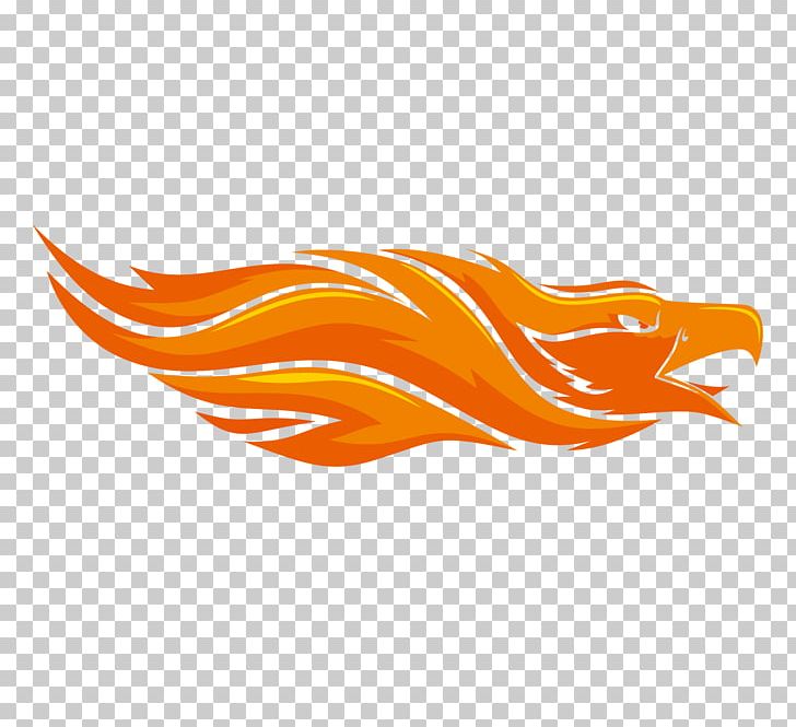 Bird flame phoenix.