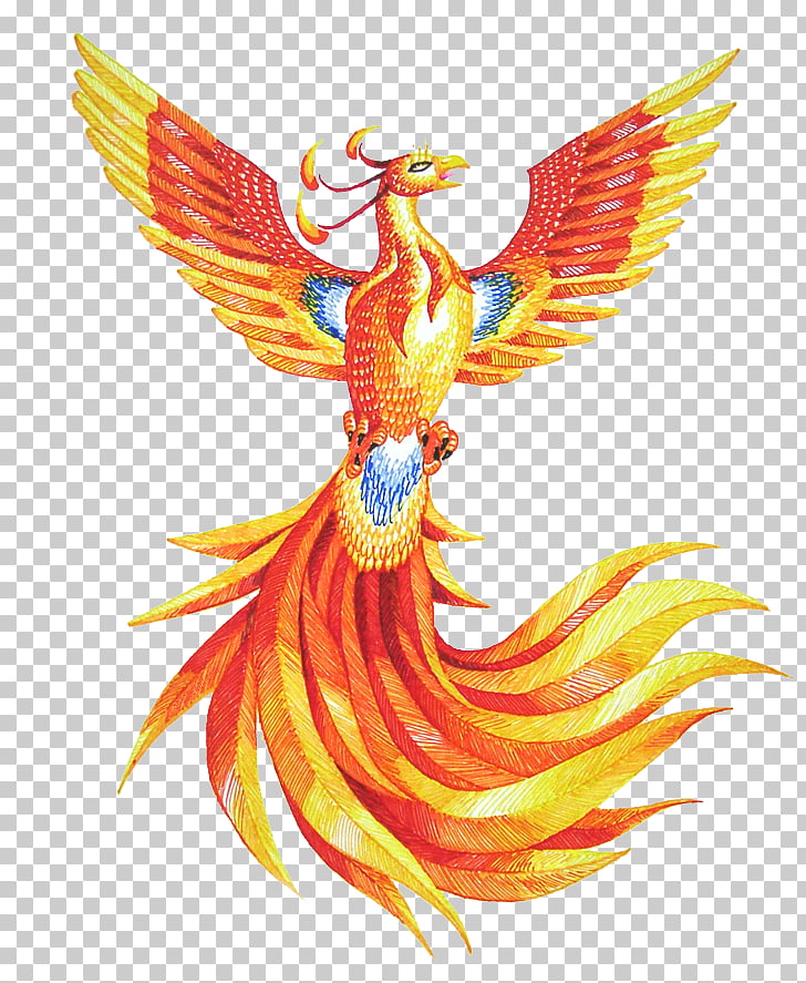 Phoenix Drawing , Phoenix HD, yellow and red phoenix PNG