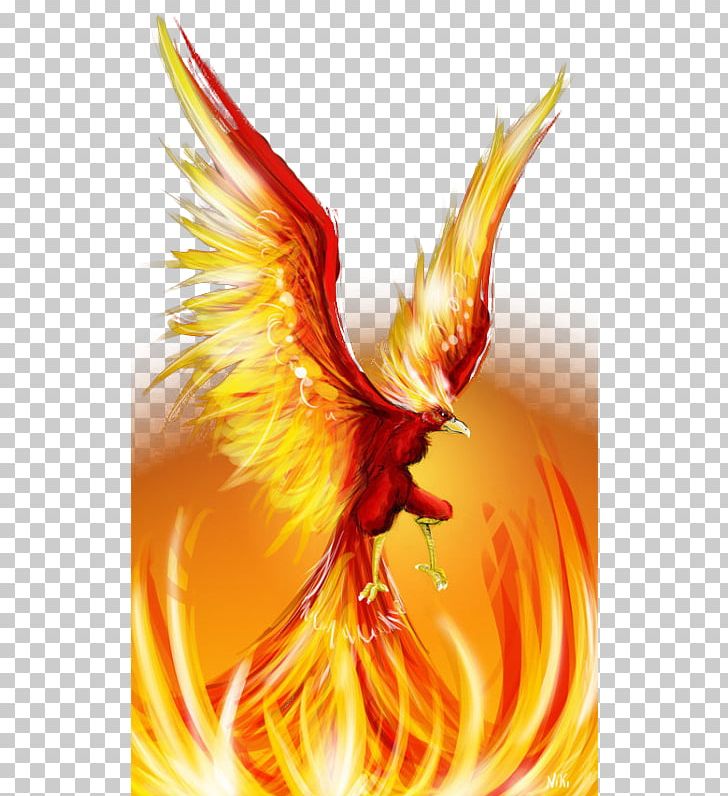 Phoenix firebird cute.