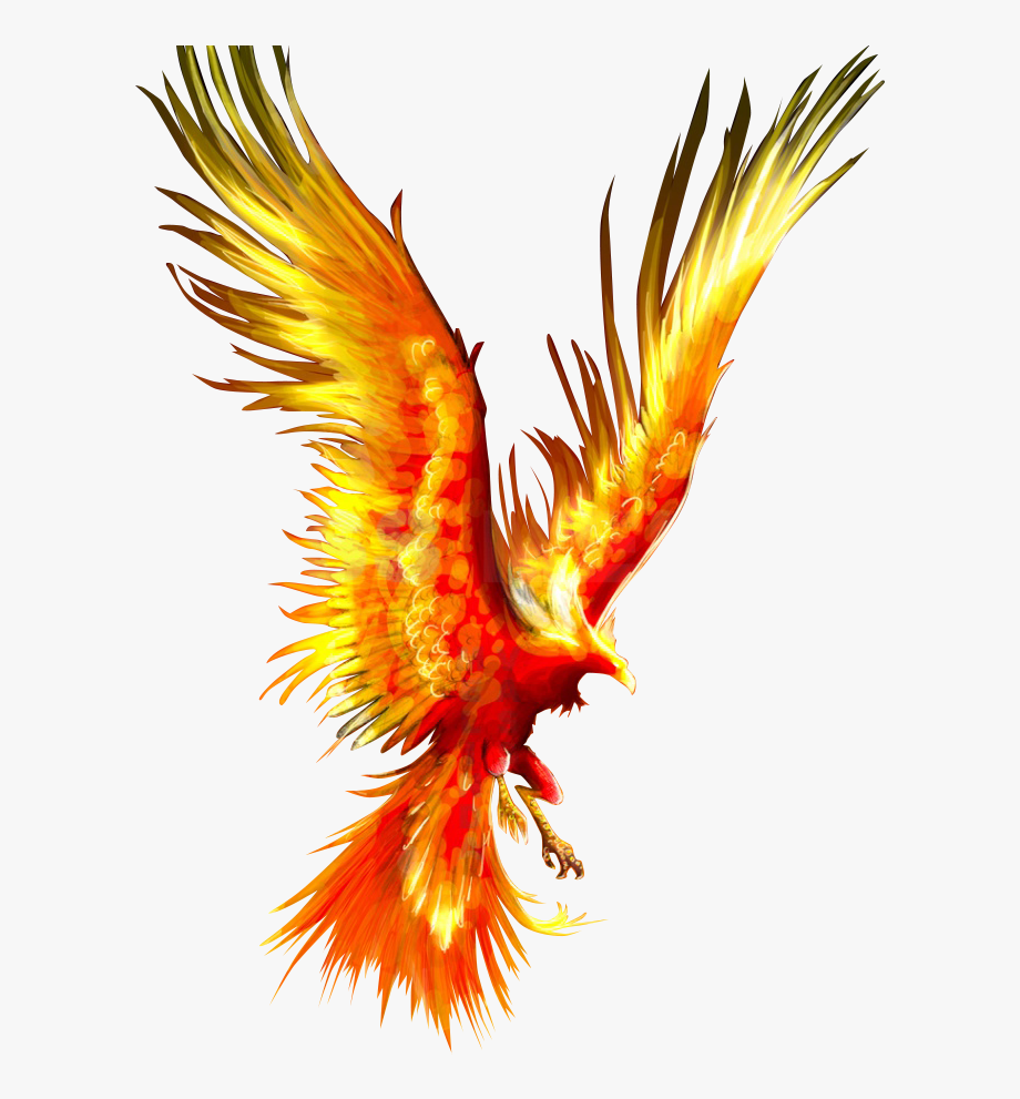 Tattoo Fireworks Mythology Firebird Phoenix Download