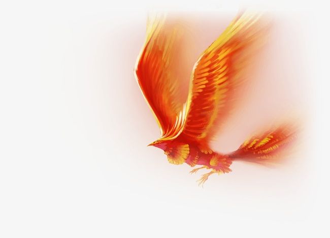 Flying phoenix png.