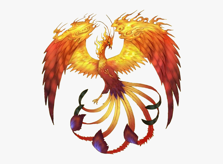 phoenix clipart mythical