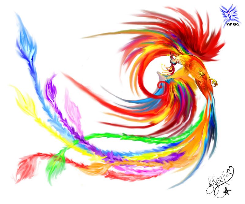 Rainbow Phoenix by Tifanie on DeviantArt