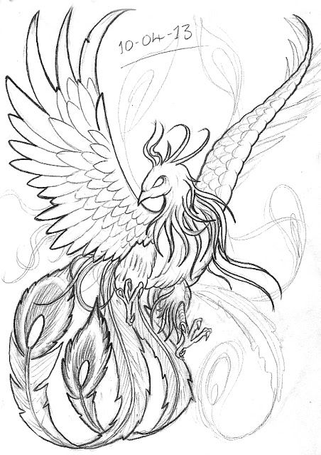 Realistic phoenix bird drawings