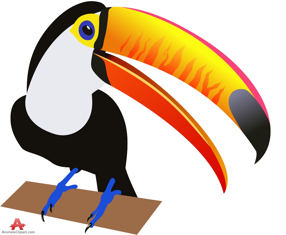 Birds animals clipart gallery free downloads by