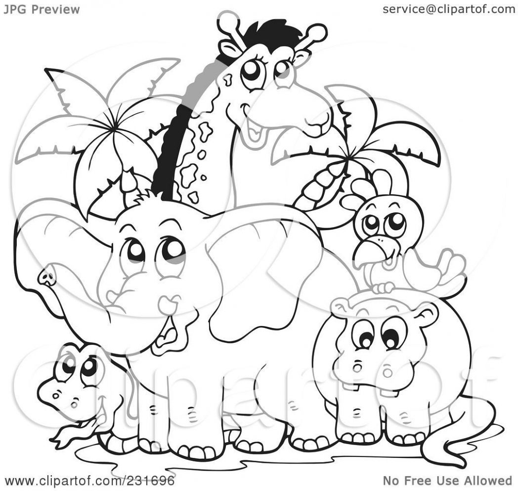 pictures of animals clipart coloring