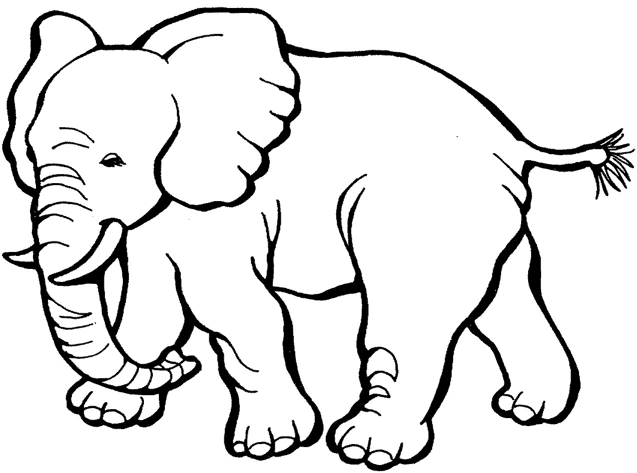 Animal coloring pages.
