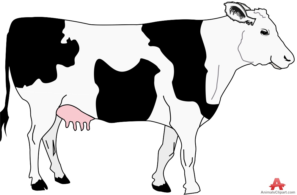 Animals clipart cow.