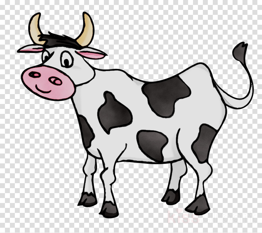 pictures of animals clipart cow