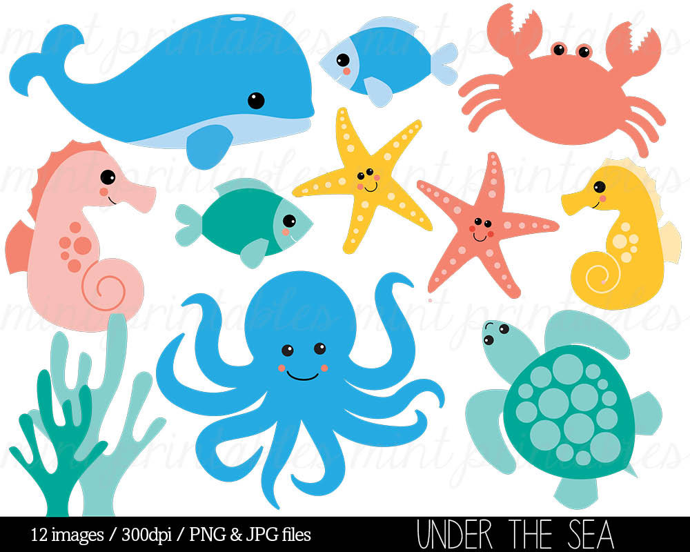58 ocean animals.