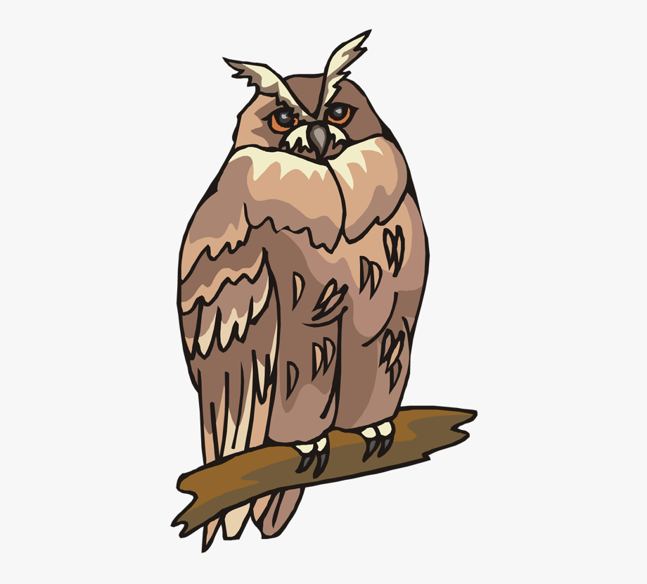 Animals Clipart Owl
