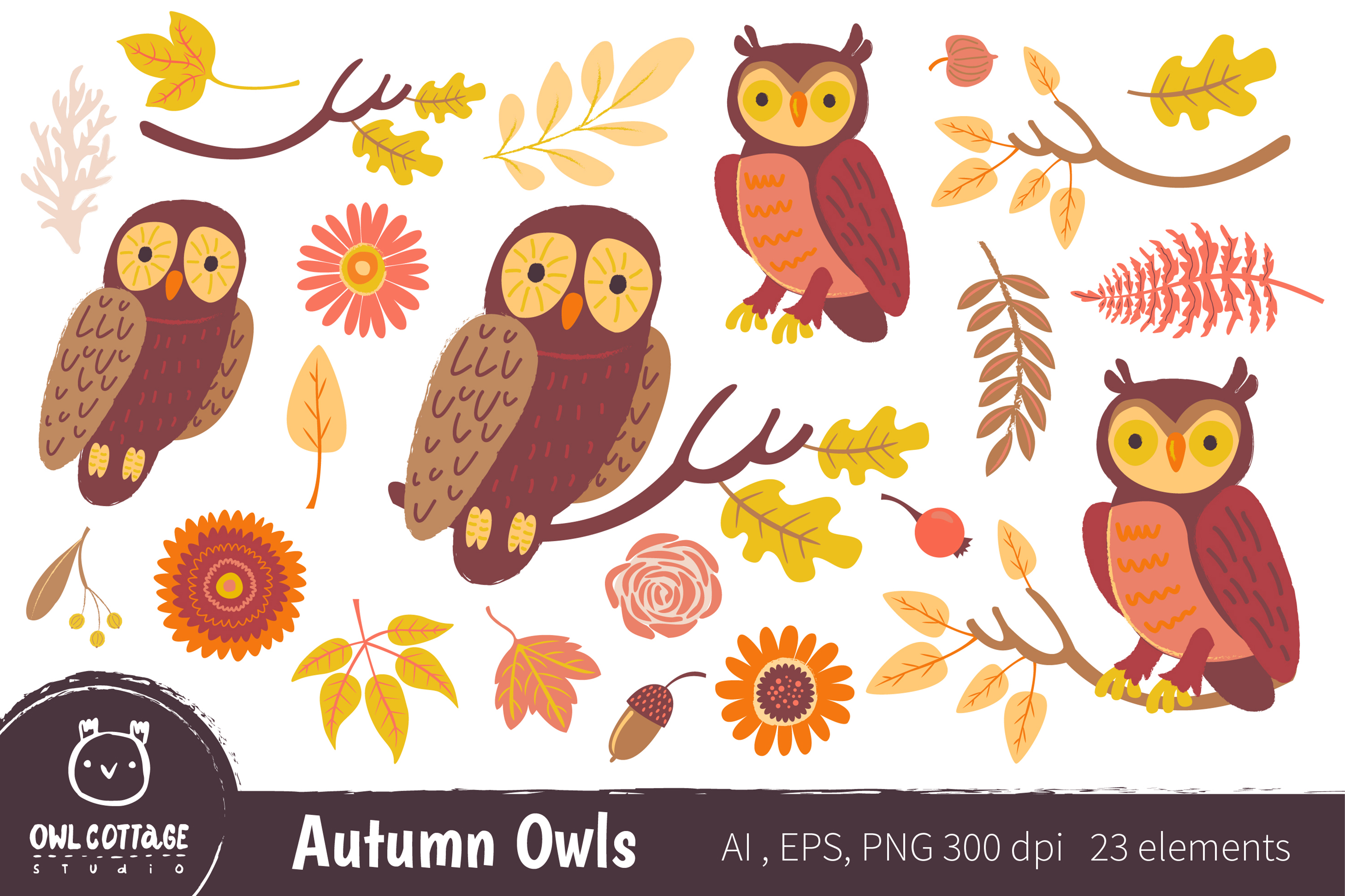 Autumn Owls and Fall Elements, Woodland Animals Clipart