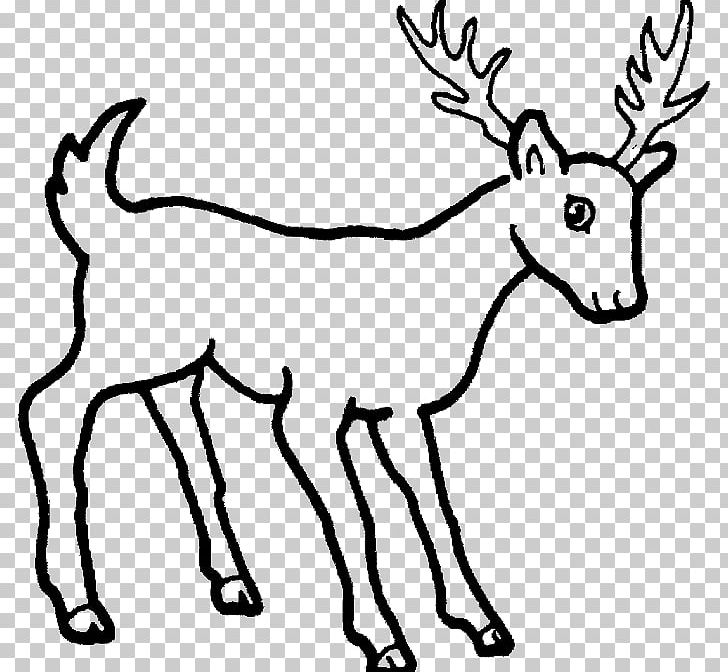 Drawing Dog Wildlife Pencil Sketch PNG, Clipart, Animal