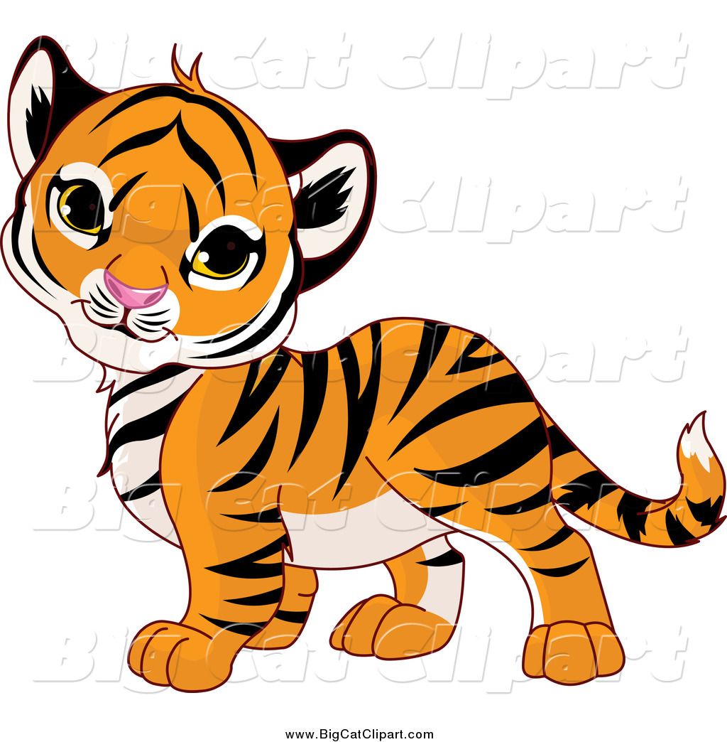 pictures of animals clipart tiger