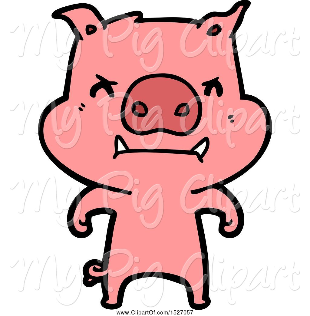 Swine clipart cartoon.