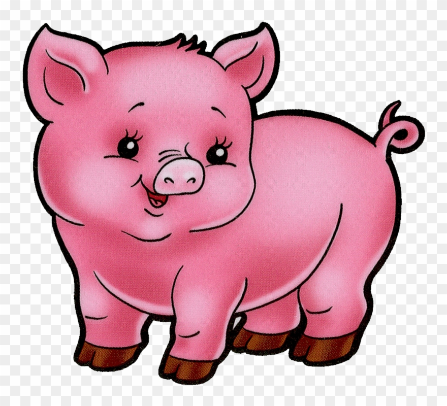 Animal farm pig.