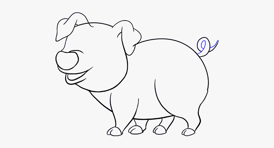 How To Draw A Cartoon Pig Step