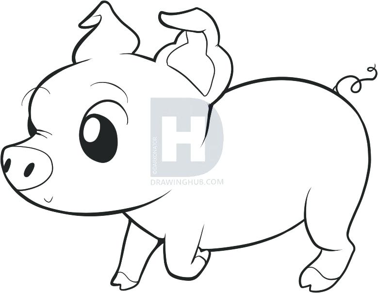 Collection pigs clipart.
