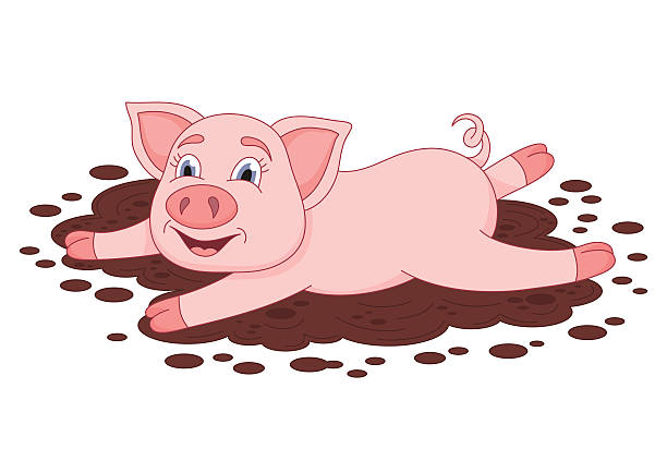 Pig In Mud Cartoon